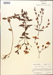 000014314-thumbnail.jpg