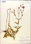 000014315-thumbnail.jpg