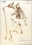 000014316-thumbnail.jpg