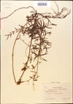 000014317-thumbnail.jpg