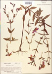 000014318-thumbnail.jpg