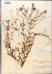 000014320-thumbnail.jpg