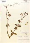 000014321-thumbnail.jpg