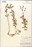 000014322-thumbnail.jpg