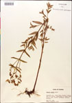 000014324-thumbnail.jpg