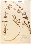 000014325-thumbnail.jpg