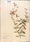 000014326-thumbnail.jpg