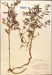000014327-thumbnail.jpg