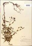 000014328-thumbnail.jpg