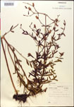 000014329-thumbnail.jpg