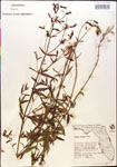 000014330-thumbnail.jpg
