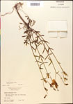 000014332-thumbnail.jpg