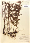 000014336-thumbnail.jpg