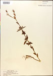 000014338-thumbnail.jpg