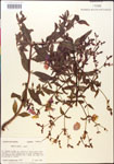 000014341-thumbnail.jpg