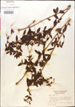 000014343-thumbnail.jpg
