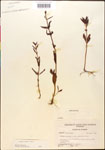 000014344-thumbnail.jpg
