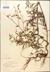 000014345-thumbnail.jpg