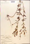 000014346-thumbnail.jpg