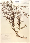 000014347-thumbnail.jpg