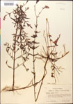 000014348-thumbnail.jpg