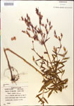 000014349-thumbnail.jpg