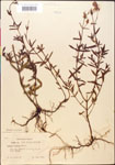 000014352-thumbnail.jpg