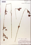 000014362-thumbnail.jpg