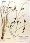 000014363-thumbnail.jpg
