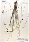 000014365-thumbnail.jpg