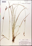 000014366-thumbnail.jpg