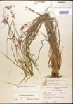 000014367-thumbnail.jpg