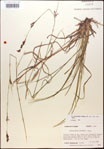 000014368-thumbnail.jpg