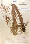 000014369-thumbnail.jpg