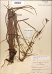 000014370-thumbnail.jpg