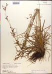 000014371-thumbnail.jpg