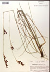 000014373-thumbnail.jpg