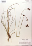 000014375-thumbnail.jpg