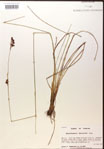 000014376-thumbnail.jpg