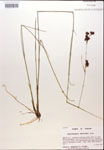 000014377-thumbnail.jpg