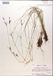 000014378-thumbnail.jpg