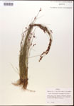 000014380-thumbnail.jpg