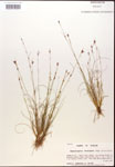 000014385-thumbnail.jpg
