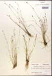 000014386-thumbnail.jpg