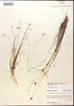000014387-thumbnail.jpg