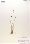 000014388-thumbnail.jpg