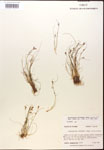 000014395-thumbnail.jpg
