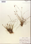 000014397-thumbnail.jpg