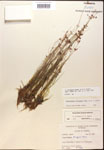 000014398-thumbnail.jpg