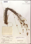 000014399-thumbnail.jpg